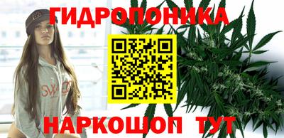 сатива Гулькевичи